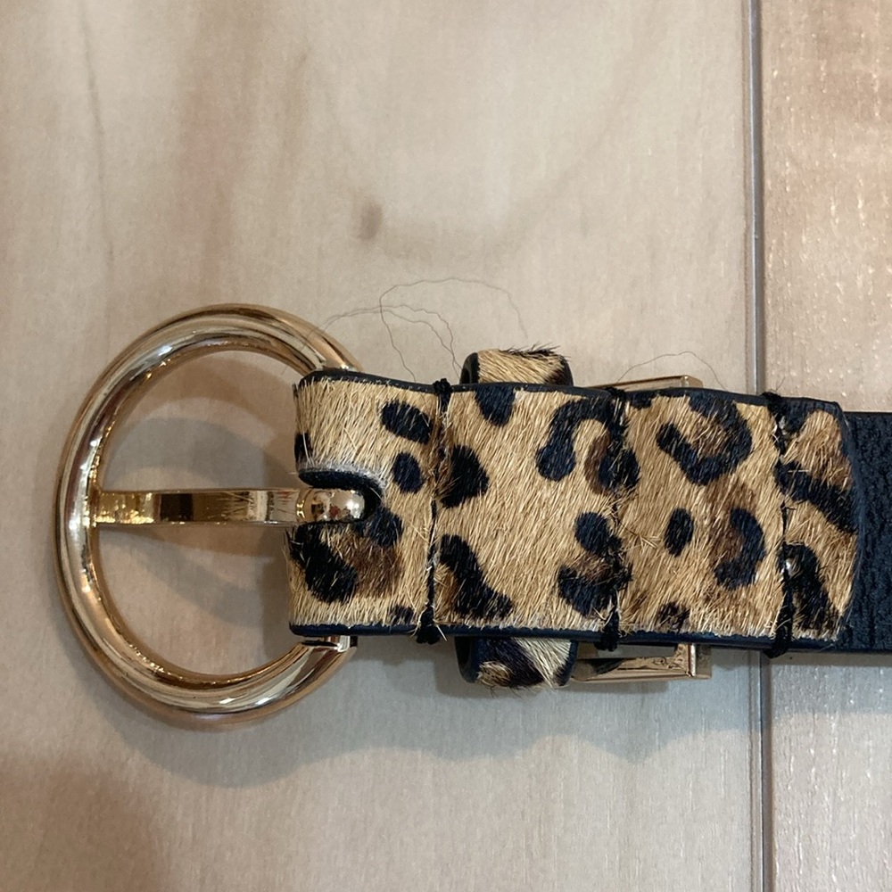 Leopard Print Belt with Gold Buckle - Picture 8 of 15